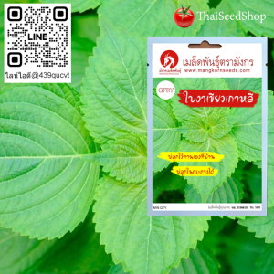 เมล็ดพันธุ์ใบงาเขียวเกาหลี