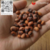เมล็ดพันธุ์เบาบับ (Baobab Digitata)